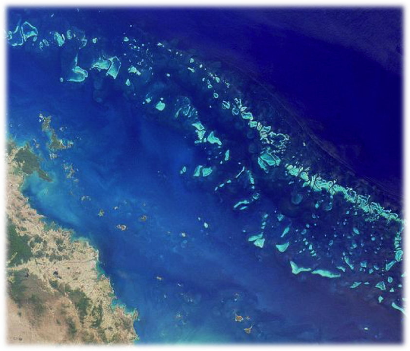 A Grande Barreira de Corais, localizada no Oceano Pacífico (ao nordeste da Austrália), possui a maior biodiversidade marinha do planeta (http://www.greatbarrierreef.org/)