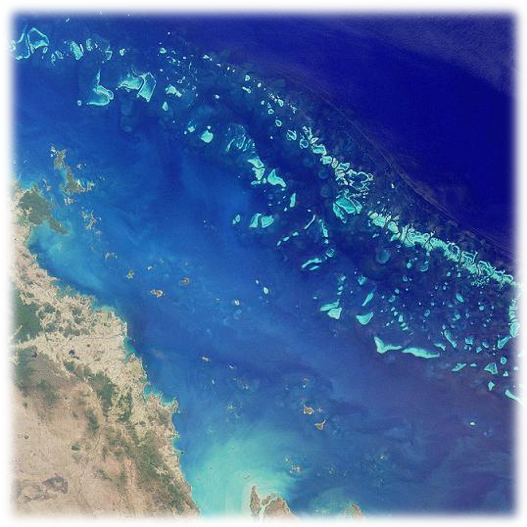 https://en.wikipedia.org/wiki/Great_Barrier_Reef