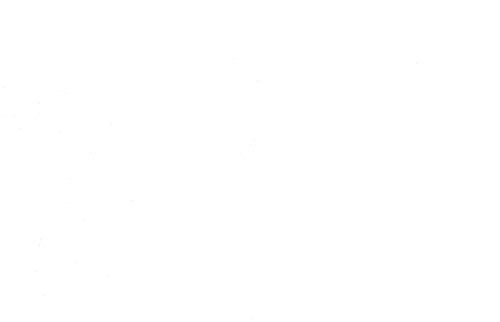 DNA bco
