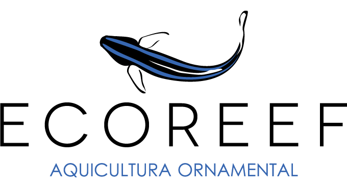 ECOREEF – Aquicultura Ornamental